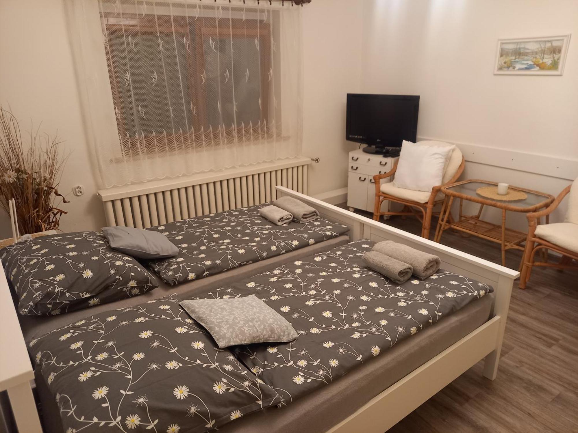 Apartman Vysocina Zvole  Εξωτερικό φωτογραφία